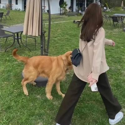 灵异摄影师