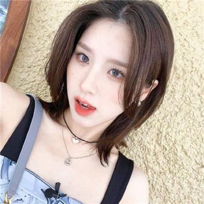 摇滚藏獒蓝色光芒